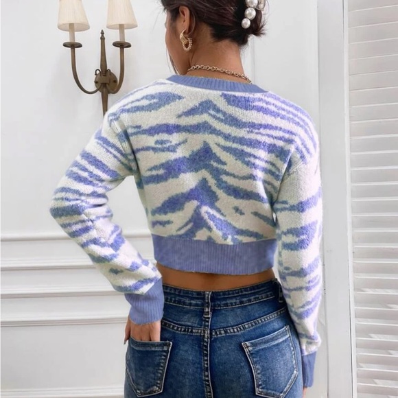 Zebra Striped Blue Sweater - Picture 3 of 4